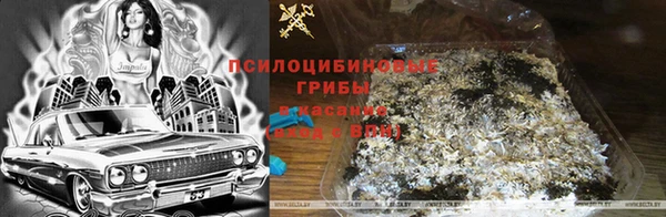 2c-b Алексин