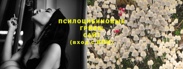 ГАЛЛЮЦИНОГЕННЫЕ ГРИБЫ Алзамай