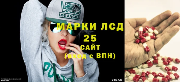 ГАЛЛЮЦИНОГЕННЫЕ ГРИБЫ Алзамай