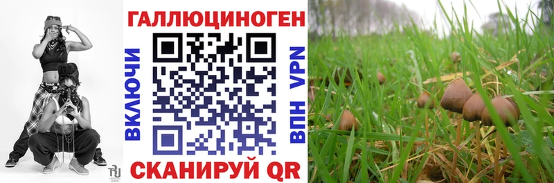 как найти закладки Шарья Галлюциногенные грибы MAGIC MUSHROOMS